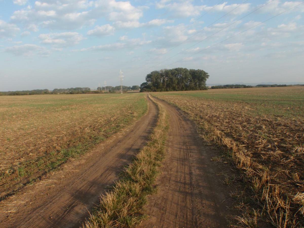 Penzion U Malera Hroznova Lhota 外观 照片